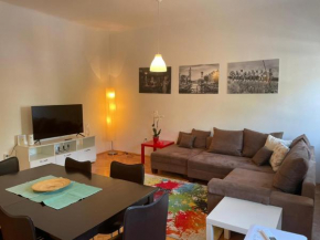 Spacious apartment near the centre - Zagreb